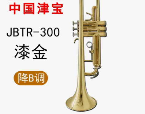 【狂欢价】津宝小号乐器降B调初学者通用黄铜...