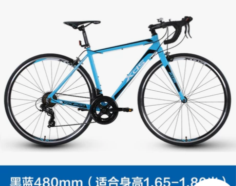 喜德盛公路车RX200公路自行车 14速禧...
