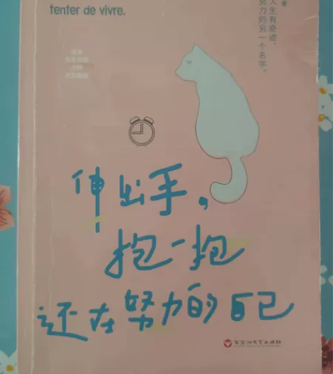 《伸出手，抱一抱还在努力的自己》，这本小说...