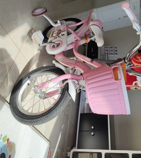 上海永久14寸,一共骑了不到 10次 感...