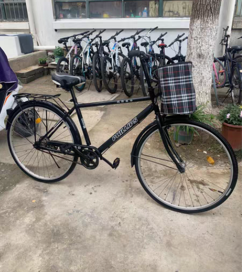 菲利普精品二手自行车低价出售199元! 车...