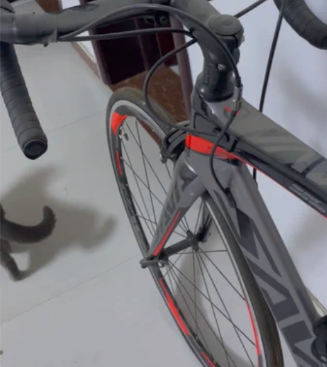 转卖SAVA 公路自行车 感兴趣的话点“我...