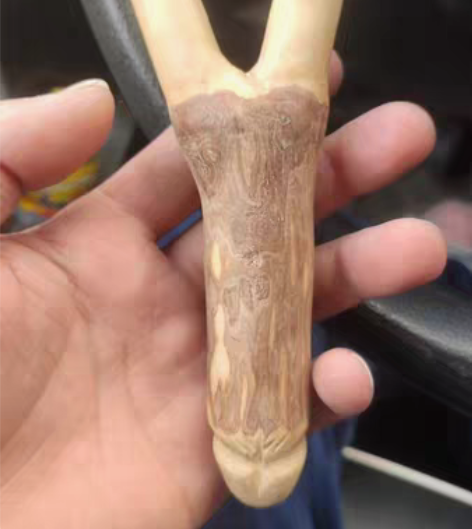 包邮升职器 ，原叉弹弓，木弹弓，手工弹弓 ...