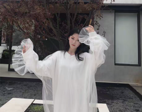 转卖WangJee很仙的上衣慵懒风网纱上衣...