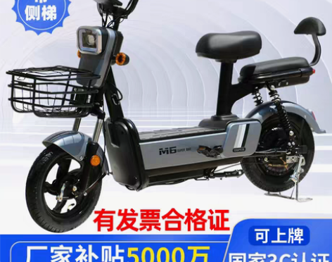 转卖电动车成人电动自行车高速电瓶车锂电池单...