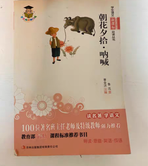 学生语文新课标必读丛书,老师强力推荐:母亲...