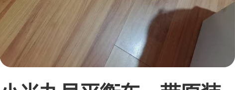 小米九号平衡车,带原装充电线,九成新只行驶...