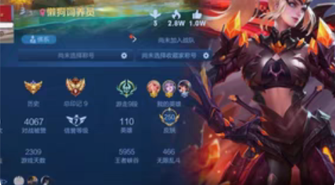 包邮[250皮肤 V8] 鸣剑·曳影/幽冥...