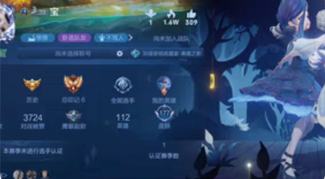 王者荣耀v7号，天鹅之梦，差一个武则天全英...