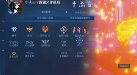 wzry,退游出,3水晶,小乔天鹅之梦,孙...