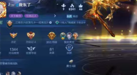 包邮王者荣耀账号，贵族7差1千贵8，一省标...