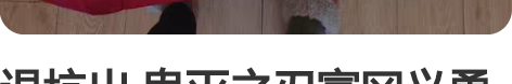 退坑出 鬼灭之刃富冈义勇cos服 L码 有...