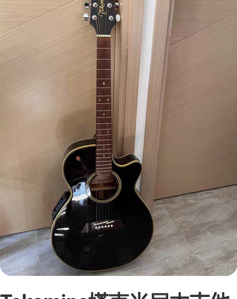 Takamine塔克米尼木吉他EG560C...