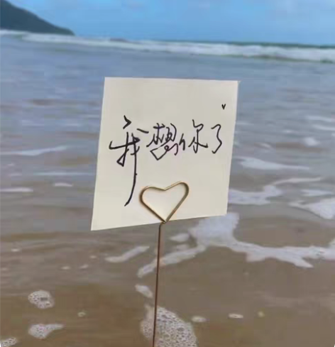 卡片海边祝福视频，海边代写生日祝福，表白创...