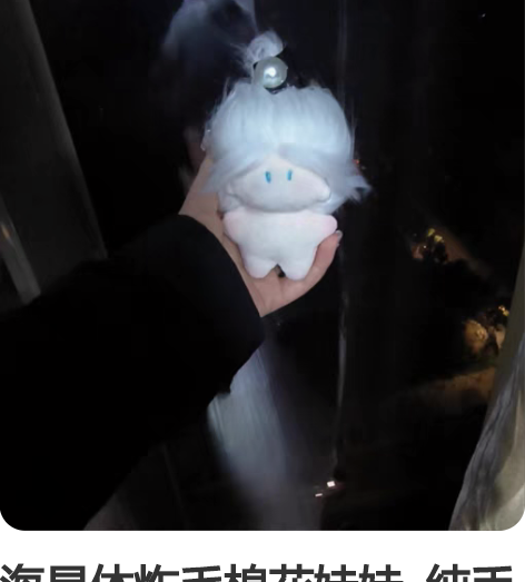 海星体炸毛棉花娃娃 纯手工手作 感兴趣的...