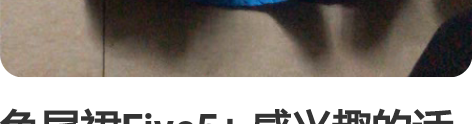 鱼尾裙Fⅳe5+ 感兴趣的话点“我想要”和...