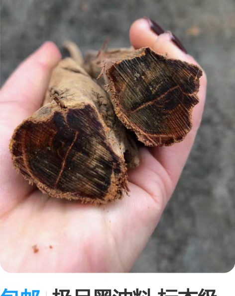 檀香蚊香驱蚊熏香家用盘香卧室内厕所除臭卫生...