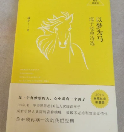 包邮正版二手 以梦为马:海子经典诗选 海...