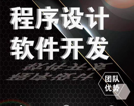 包邮java软件python程序C语言PH...