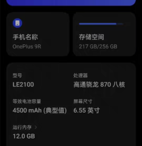 OnePlus一加9r 12+256顶配...