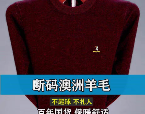 包邮啄木鸟正品秋冬款中年男士高领休闲羊毛衫...