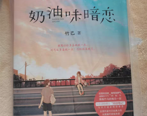 奶油味暗恋上下两册 竹已著《最好的你》电视...