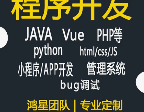 程序开发设计，php/java 项目，网页...