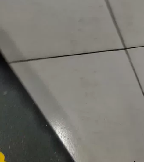 DBH滑板初学者青少年成人儿童男女生刷街四...