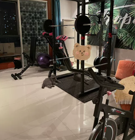 出售多功能龙门架 包安装可搭配 100kg...