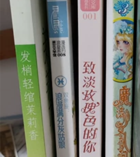 言情青春文学小说,每本10元折价售,有意私...