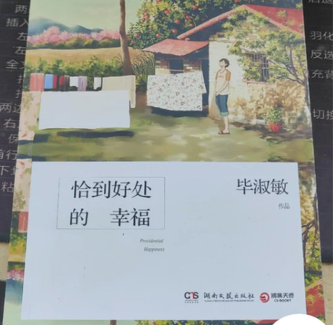 二手正版 恰到好处的幸福 毕淑敏 湖南文...