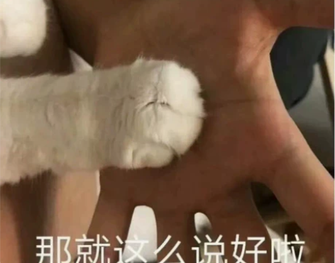 千库网素材！千库代下1.5元 千库网素材全...