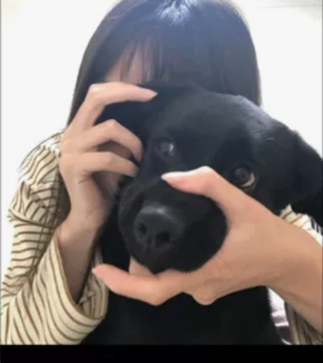 主接CAD/cass测绘的全生态,安装包→...