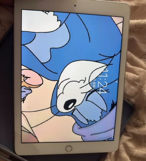 ipad2018 32g非常的新 定义95...