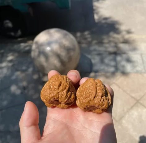 42的大尺寸肌肉蛙 荷叶大凹底 感兴趣私我...
